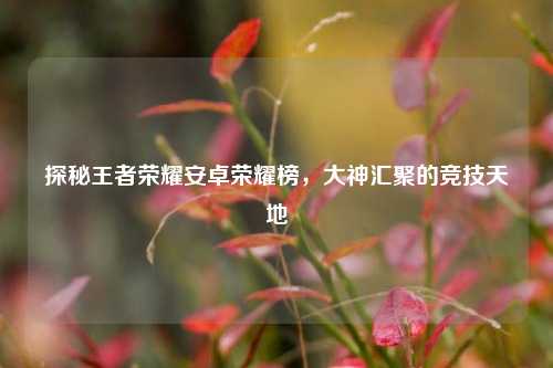 探秘王者荣耀安卓荣耀榜，大神汇聚的竞技天地