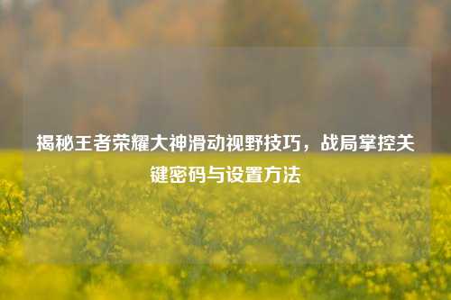 揭秘王者荣耀大神滑动视野技巧,战局掌控关键密码与设置方法