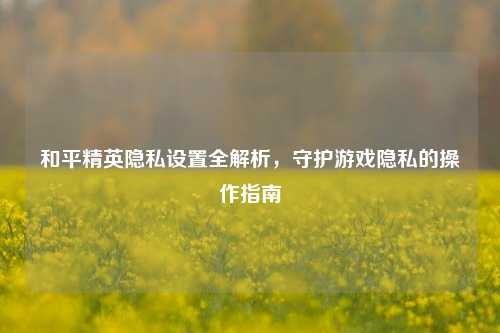 和平精英隐私设置全解析，守护游戏隐私的操作指南
