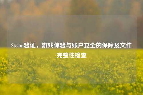 Steam验证，游戏体验与账户安全的保障及文件完整性检查