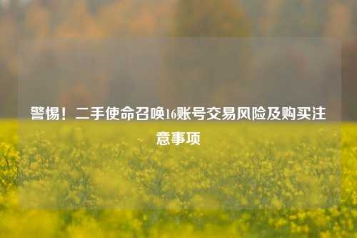 警惕!二手使命召唤16账号交易风险及购买注意事项
