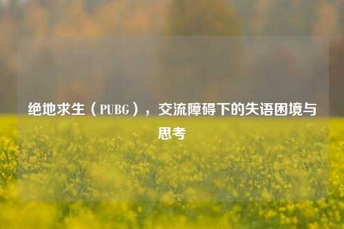 绝地求生(PUBG),交流障碍下的失语困境与思考