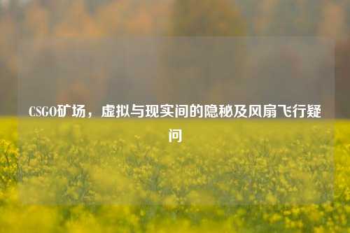 CSGO矿场，虚拟与现实间的隐秘及风扇飞行疑问