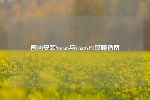 国内安装Steam与ChatGPT攻略指南
