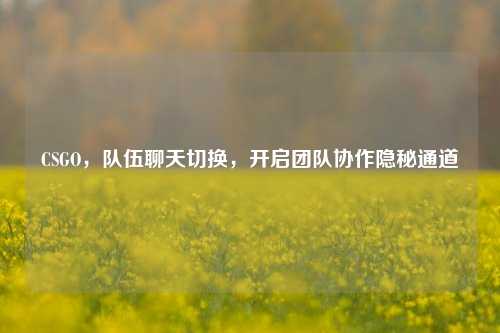 CSGO，队伍聊天切换，开启团队协作隐秘通道