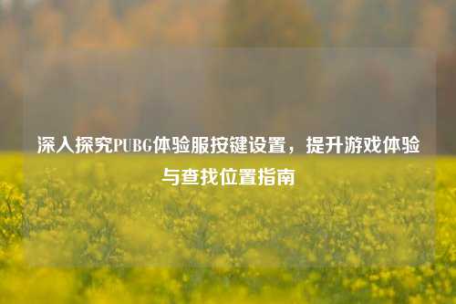 深入探究PUBG体验服按键设置，提升游戏体验与查找位置指南