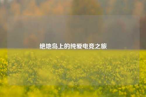 绝地岛上的纯爱电竞之旅