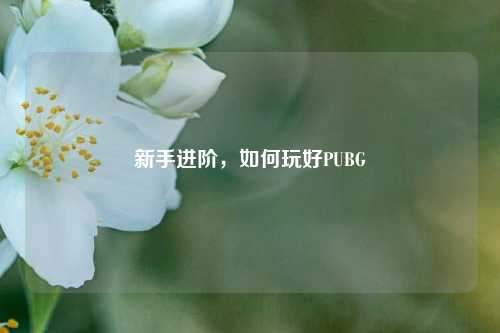 新手进阶，如何玩好PUBG