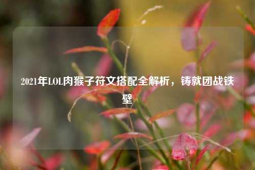 2021年LOL肉猴子符文搭配全解析，铸就团战铁壁