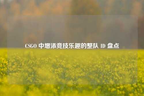 CSGO 中增添竞技乐趣的整队 ID 盘点