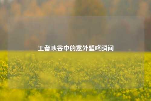 王者峡谷中的意外壁咚瞬间