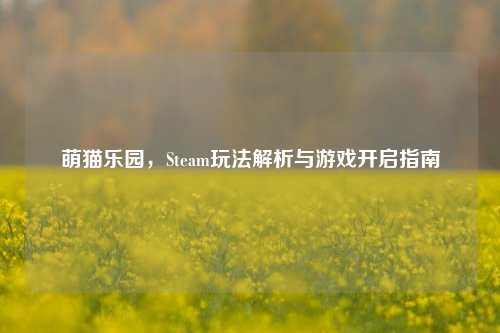 萌猫乐园，Steam玩法解析与游戏开启指南