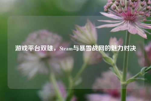 游戏平台双雄，Steam与暴雪战网的魅力对决