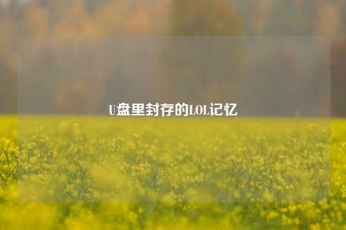 U盘里封存的LOL记忆