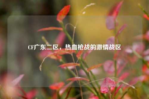 CF广东二区，热血枪战的激情战区