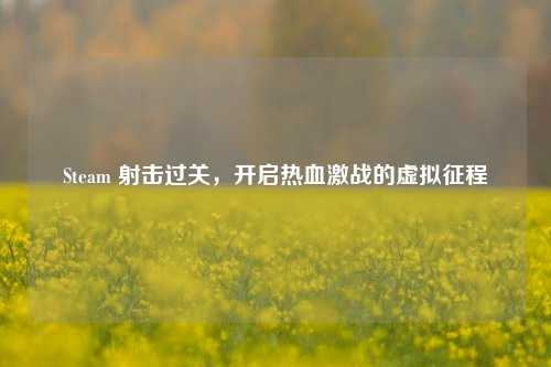 Steam 射击过关，开启热血激战的虚拟征程