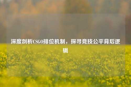 深度剖析CSGO排位机制，探寻竞技公平背后逻辑