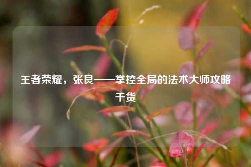 王者荣耀，张良——掌控全局的法术大师攻略干货