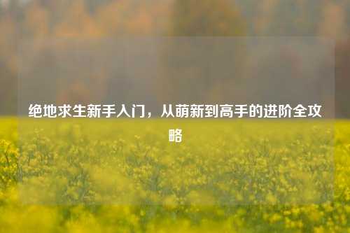 绝地求生新手入门，从萌新到高手的进阶全攻略