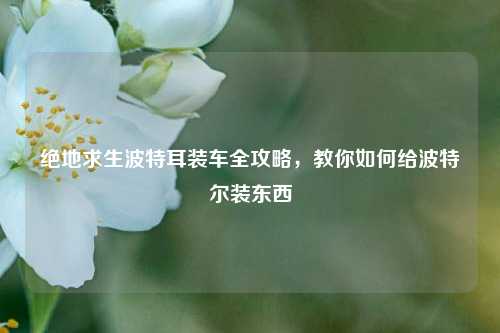 绝地求生波特耳装车全攻略，教你如何给波特尔装东西