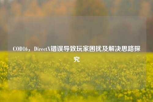 COD16，DirectX错误导致玩家困扰及解决思路探究