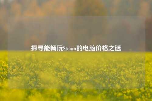 探寻能畅玩Steam的电脑价格之谜