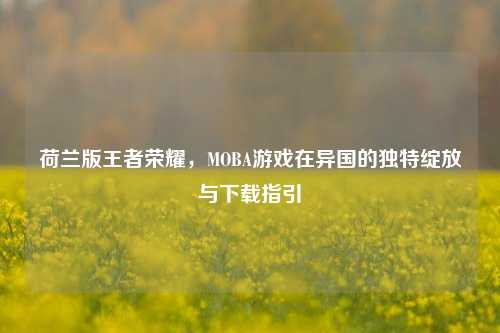 荷兰版王者荣耀，MOBA游戏在异国的独特绽放与下载指引