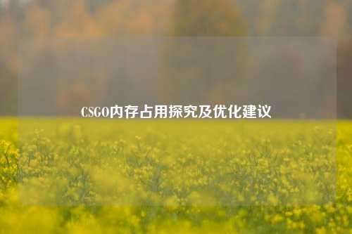 CSGO内存占用探究及优化建议