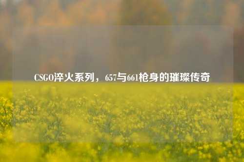 CSGO淬火系列，657与661枪身的璀璨传奇