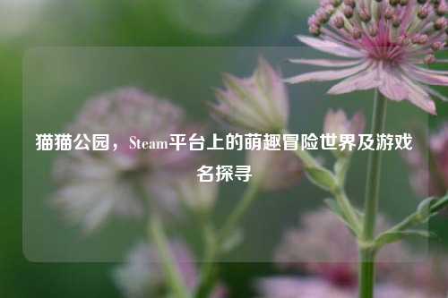 猫猫公园，Steam平台上的萌趣冒险世界及游戏名探寻