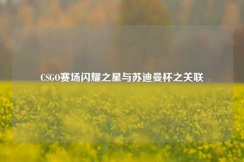 CSGO赛场闪耀之星与苏迪曼杯之关联