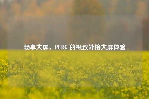 畅享大屏，PUBG 的极致外接大屏体验