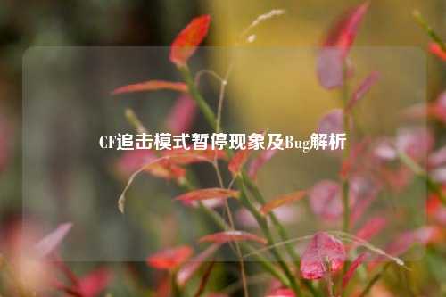 CF追击模式暂停现象及Bug解析