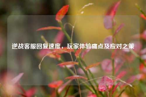 逆战客服回复速度，玩家体验痛点及应对之策