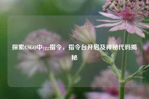 探索CSGO中ygg指令，指令台开启及神秘代码揭秘