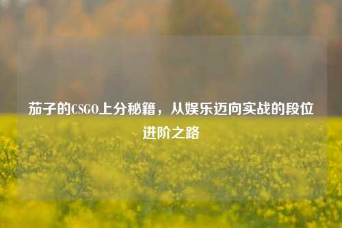 茄子的CSGO上分秘籍，从娱乐迈向实战的段位进阶之路