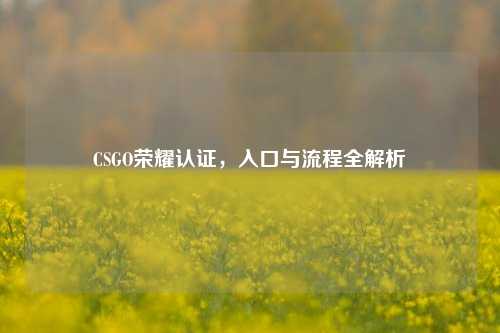 CSGO荣耀认证，入口与流程全解析