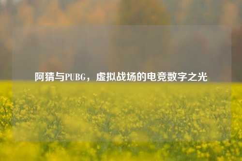 阿猜与PUBG，虚拟战场的电竞数字之光