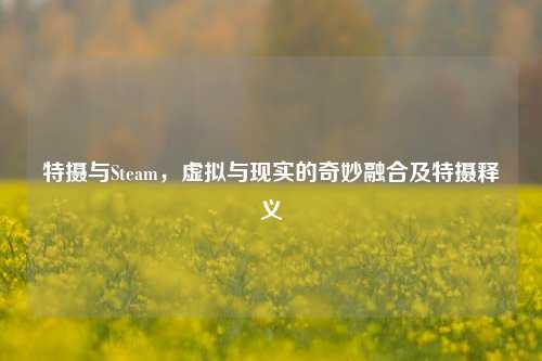 特摄与Steam，虚拟与现实的奇妙融合及特摄释义