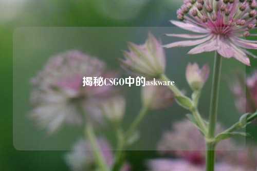 揭秘CSGO中的askware