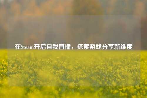 在Steam开启自我直播,探索游戏分享新维度