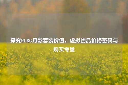 探究PUBG月影套装价值，虚拟物品价格密码与购买考量