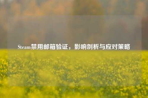 Steam禁用邮箱验证,影响剖析与应对策略