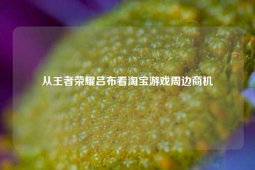 从王者荣耀吕布看淘宝游戏周边商机