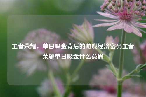 王者荣耀,单日吸金背后的游戏经济密码王者荣耀单日吸金什么意思