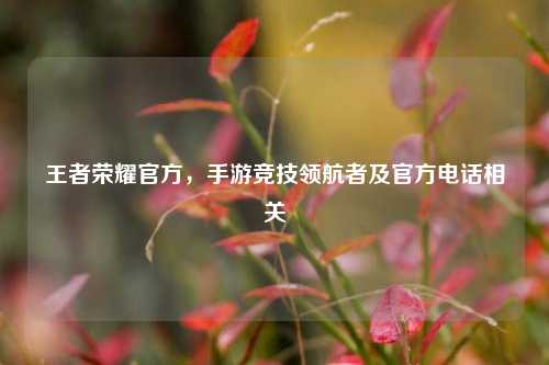 王者荣耀官方，手游竞技领航者及官方电话相关
