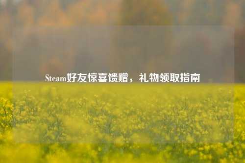 Steam好友惊喜馈赠，礼物领取指南