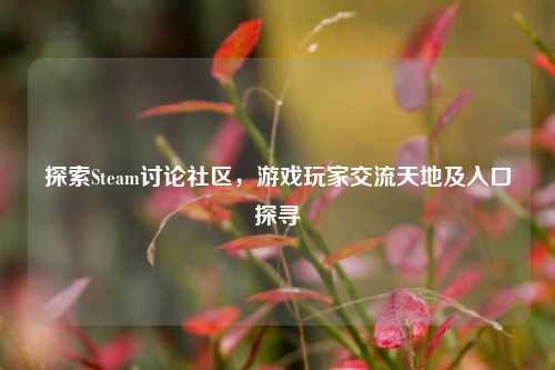探索Steam讨论社区,游戏玩家交流天地及入口探寻