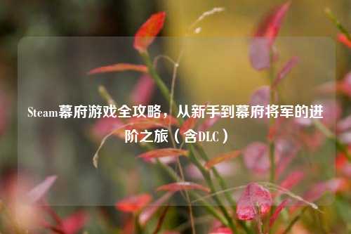 Steam幕府游戏全攻略,从新手到幕府将军的进阶之旅(含DLC)