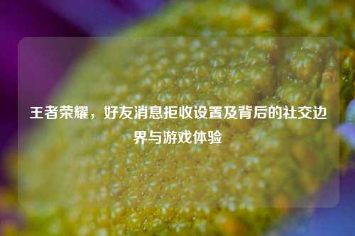 王者荣耀，好友消息拒收设置及背后的社交边界与游戏体验